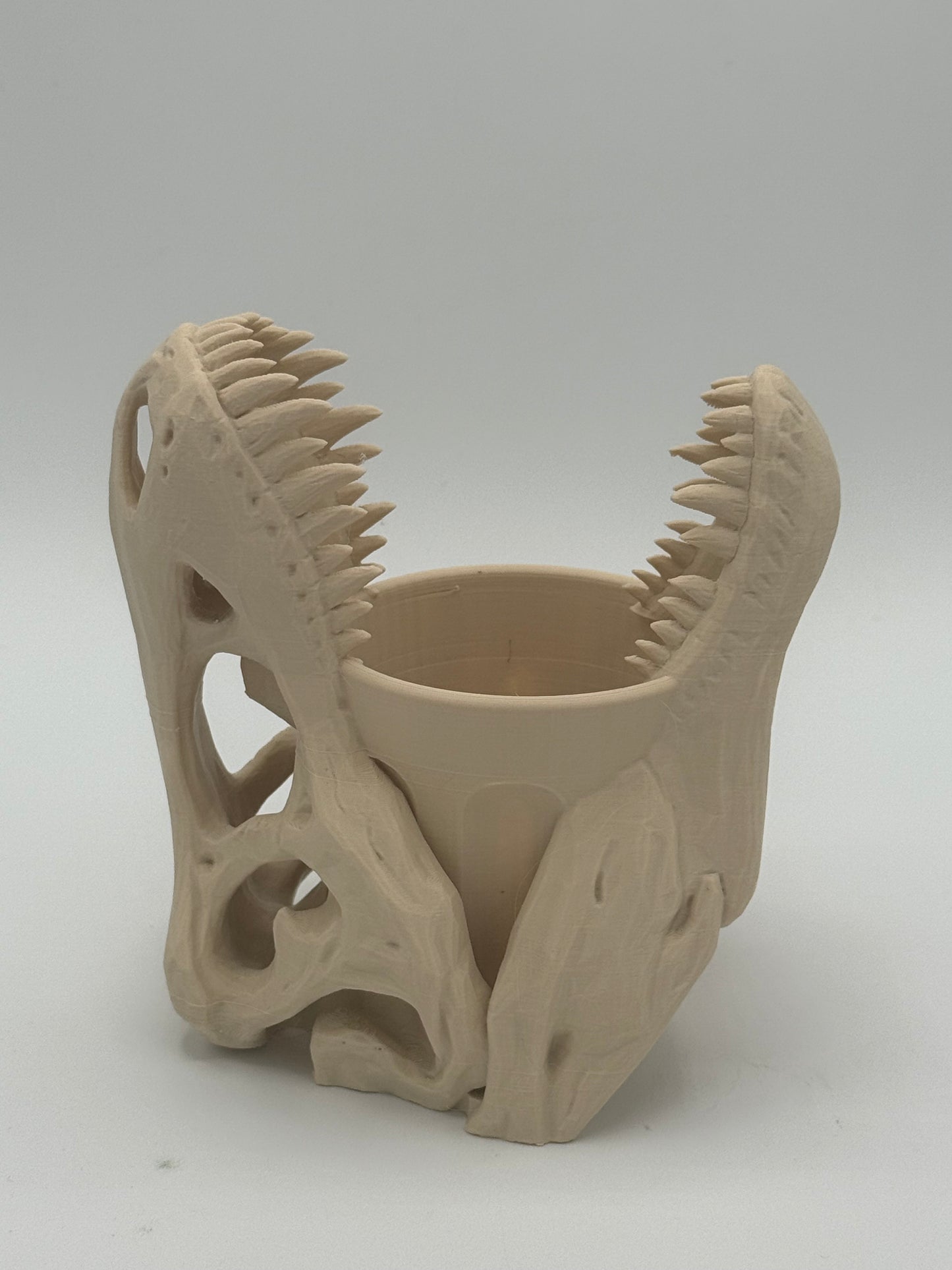 T. Rex Skull Storage Cup