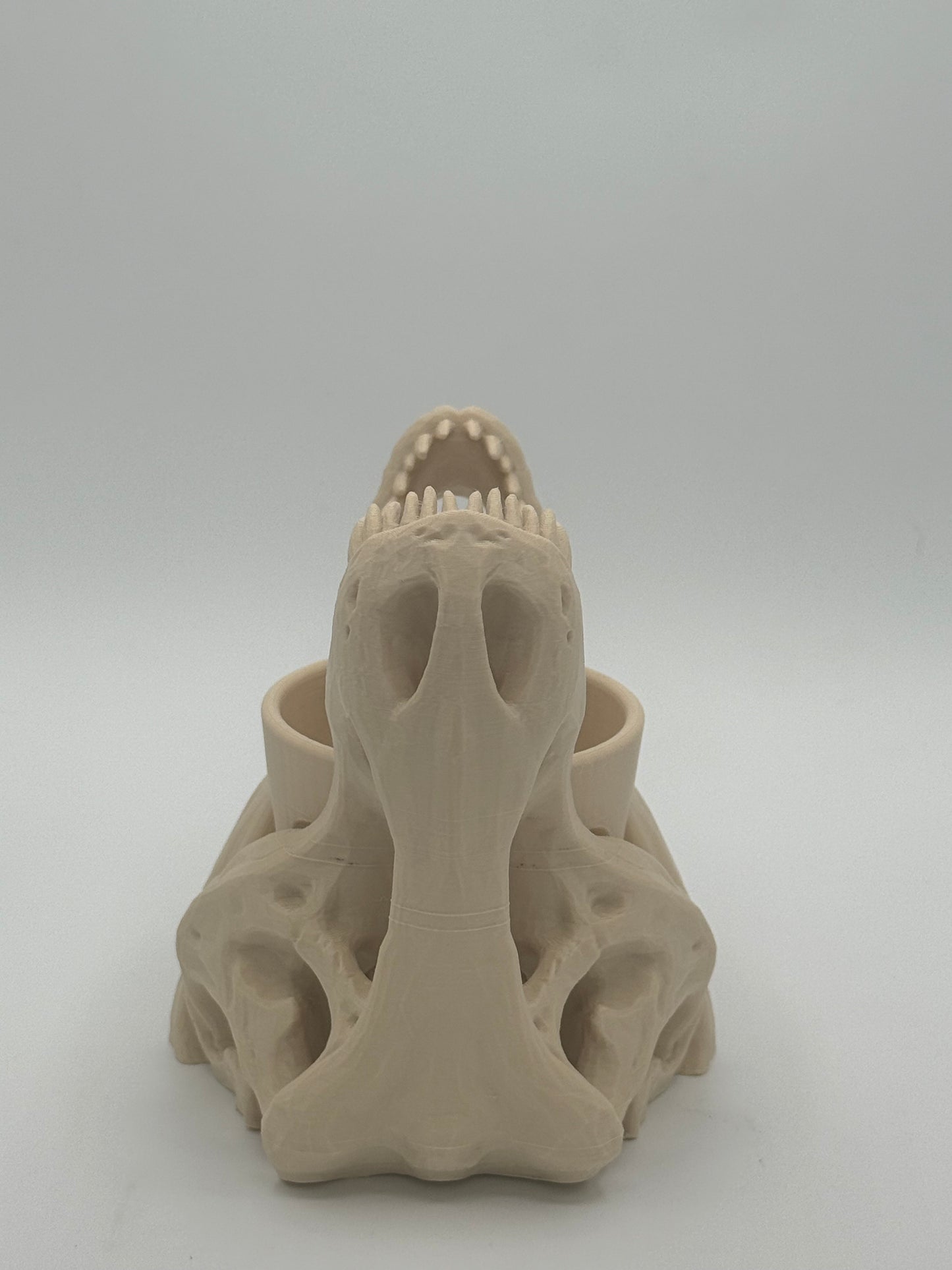 T. Rex Skull Storage Cup