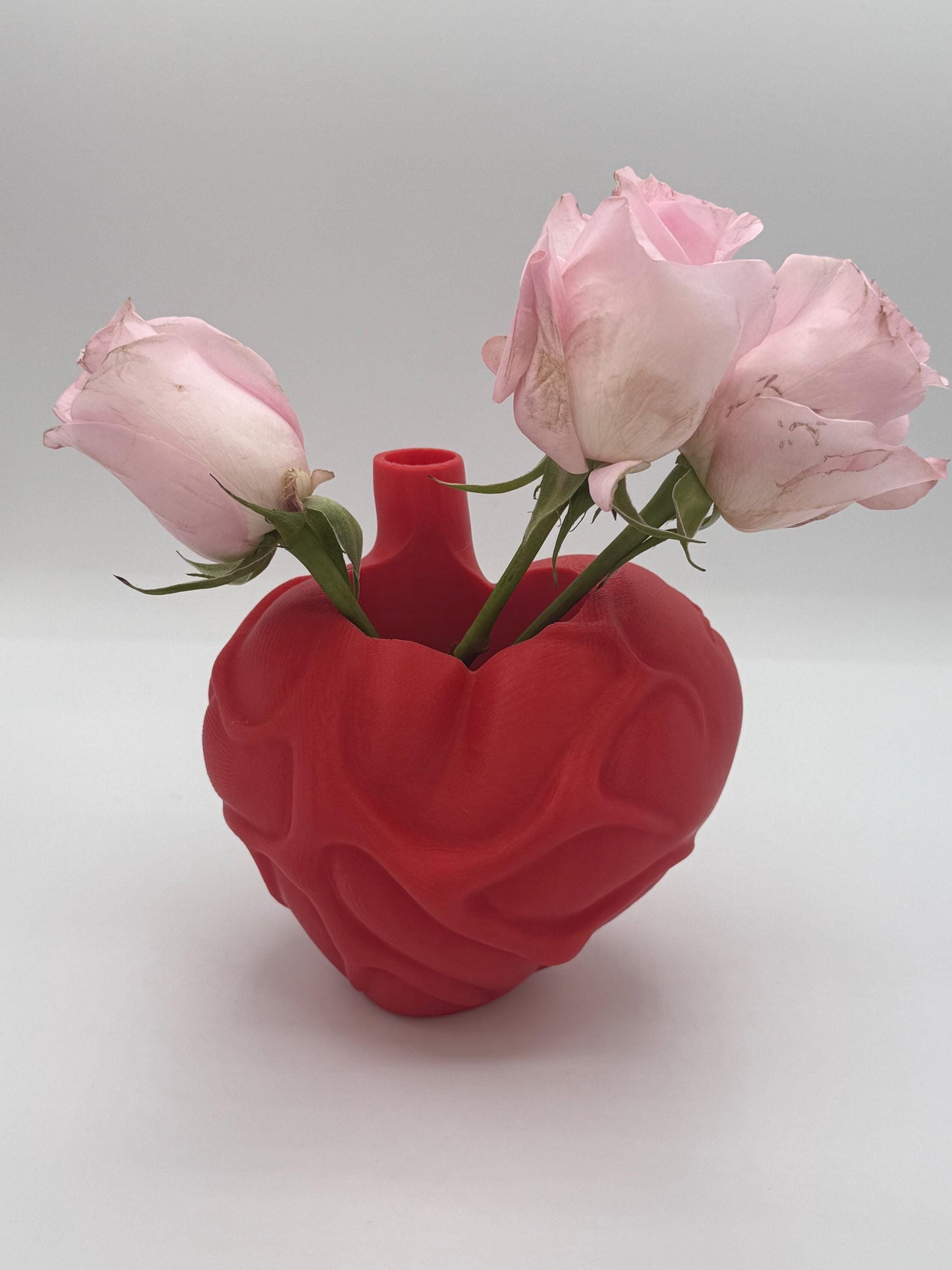 Anatomical heart vase, 6"h, accurate heart representation, heart vase, Great gift Idea