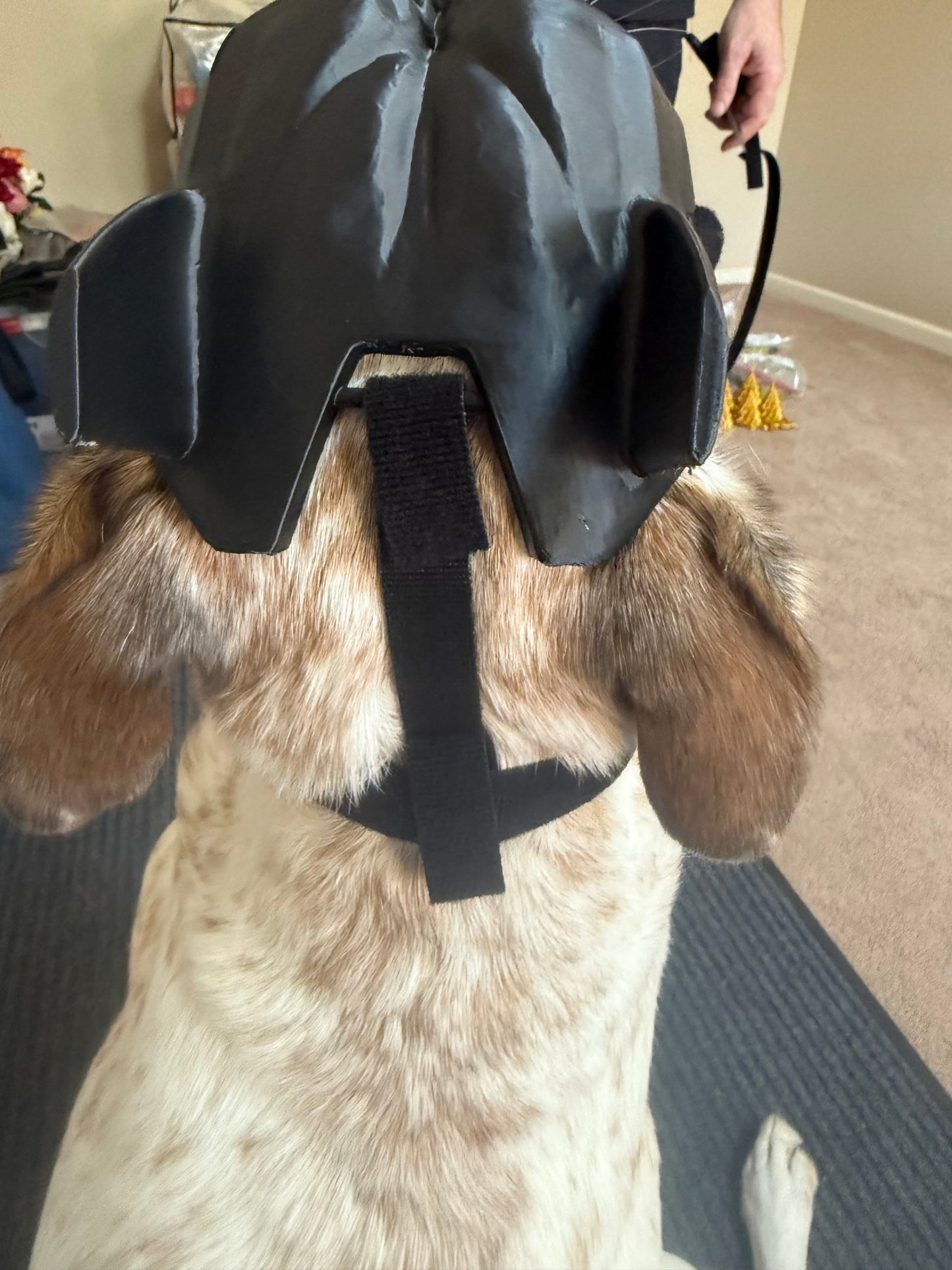 3D Printed Bat Mask for Dogs 🦇🐶