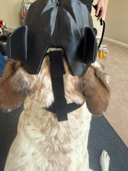 3D Printed Bat Mask for Dogs 🦇🐶