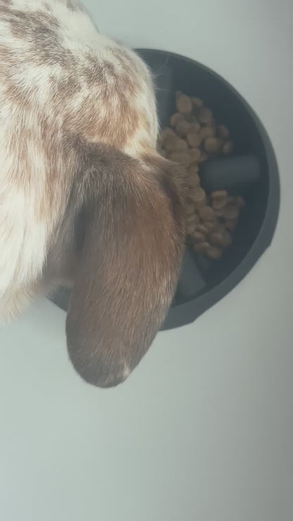 3D Printed Slow Feeder Dog Bowl 🐾